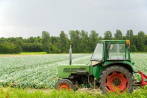 What Is Commercial Agriculture